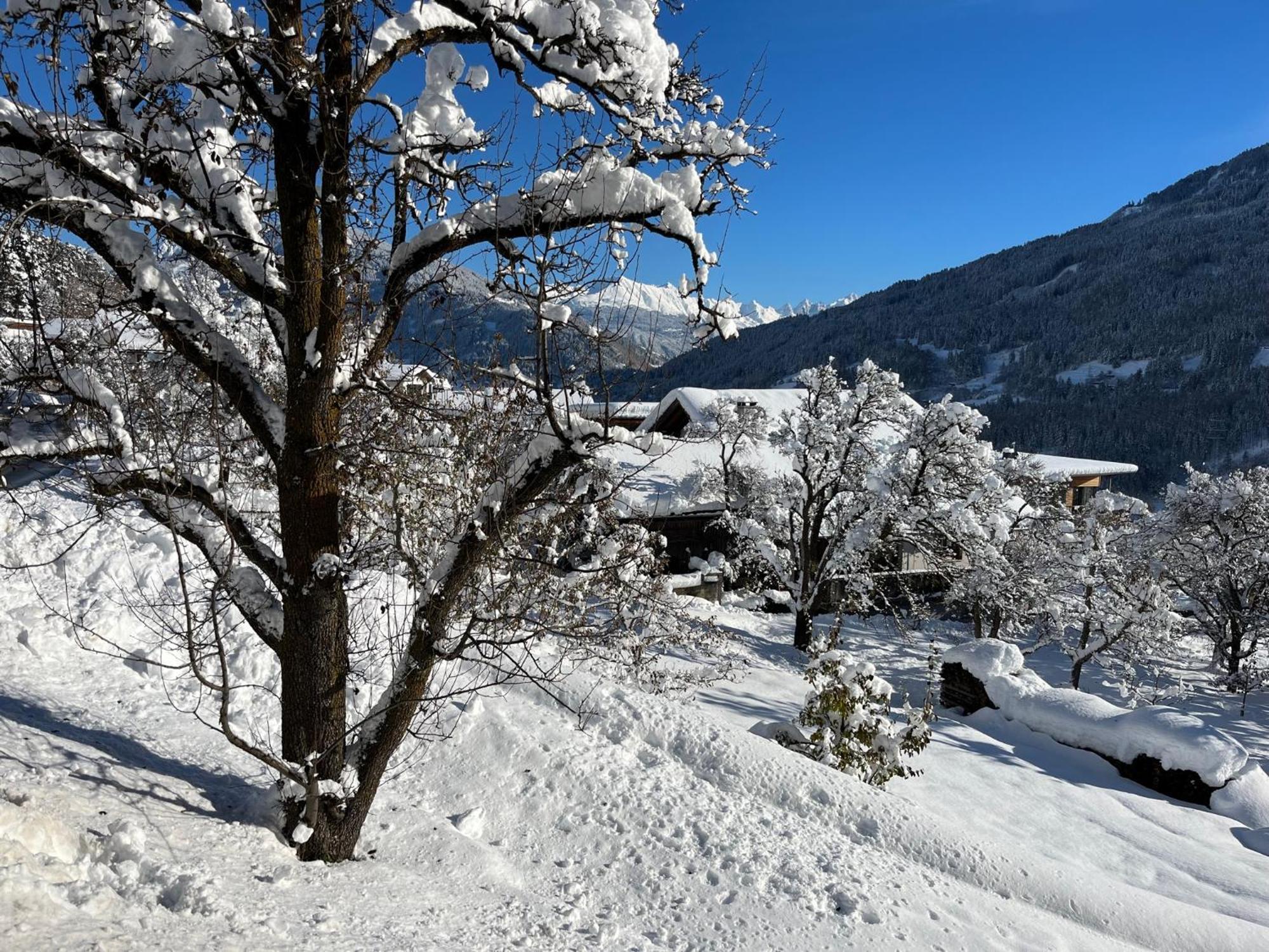 Traumapartment Murmeltier Tirol Grins Kültér fotó