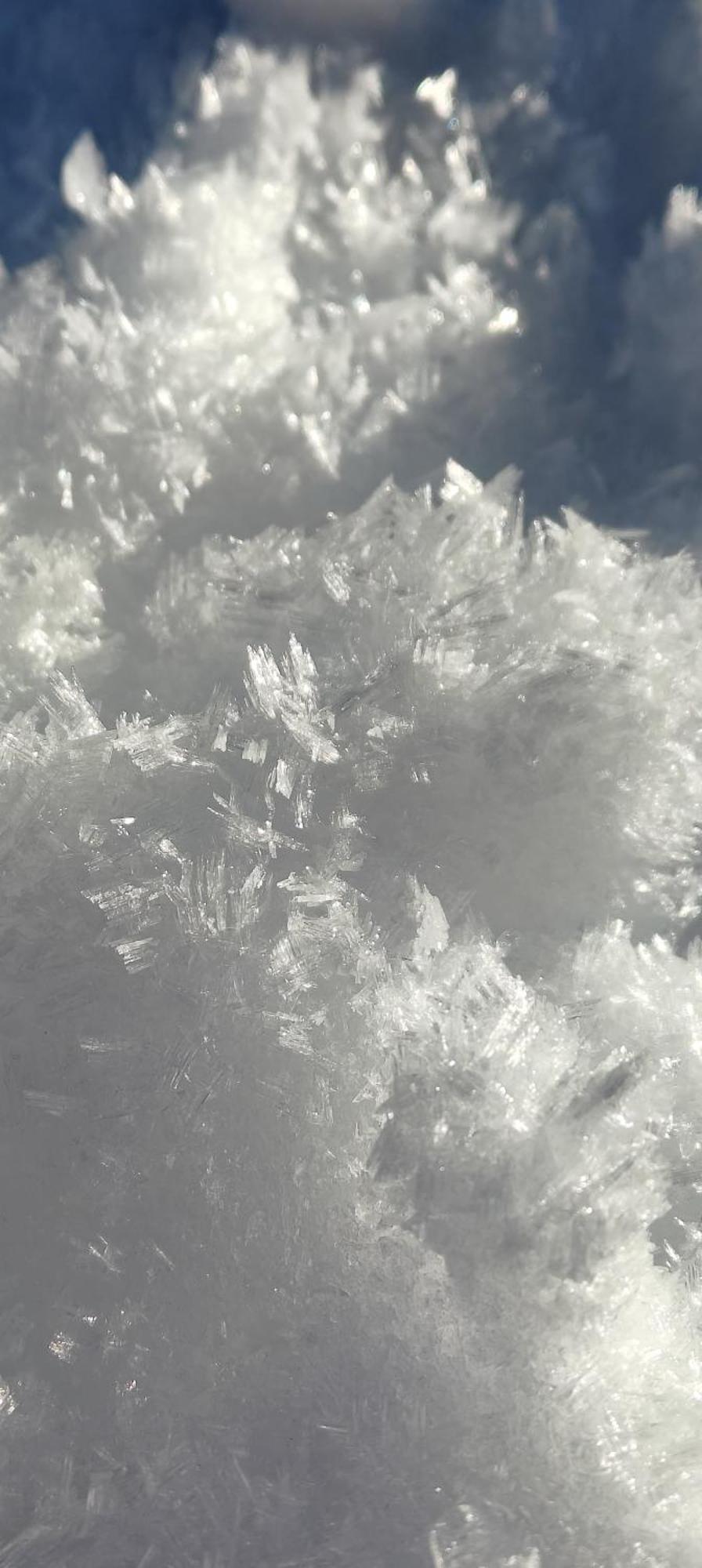 Traumapartment Murmeltier Tirol Grins Kültér fotó